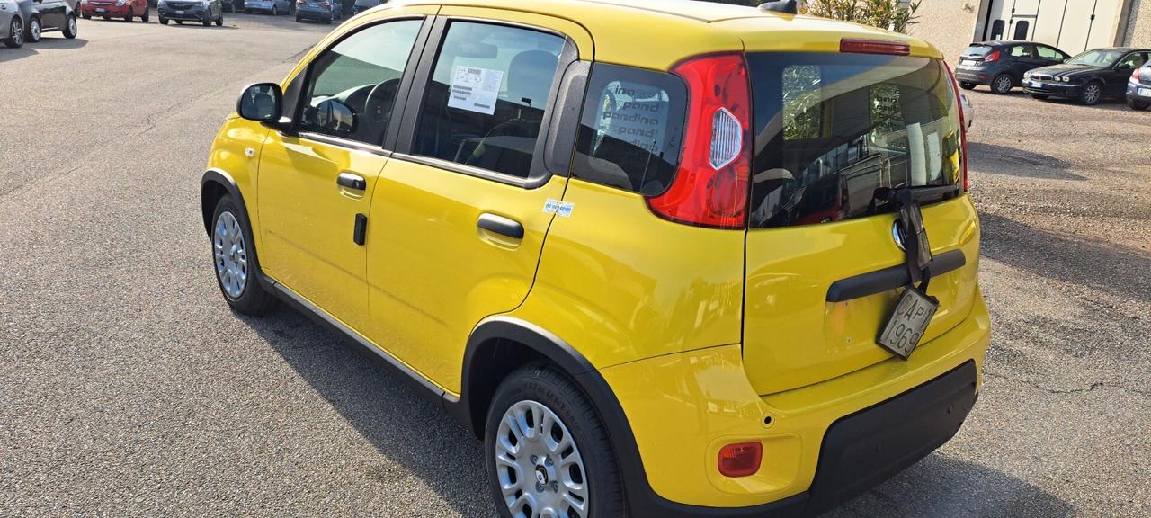 Fiat Panda 1.0 FireFly S&S Hybrid