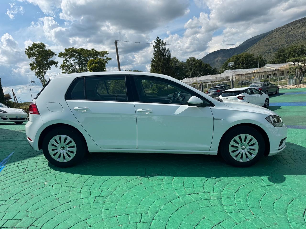 Volkswagen Golf 1.4 TGI 5p. Executive BlueMotion