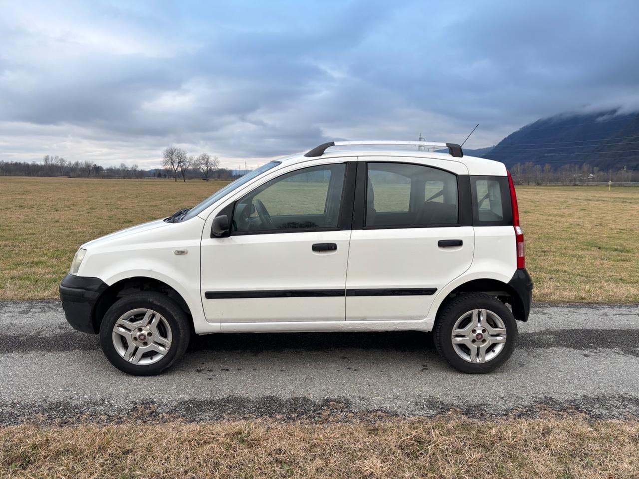 Fiat Panda 1.3 MJT 4x4 turbodiesel meccanica perfetta catena distribuzione sostituita da poco