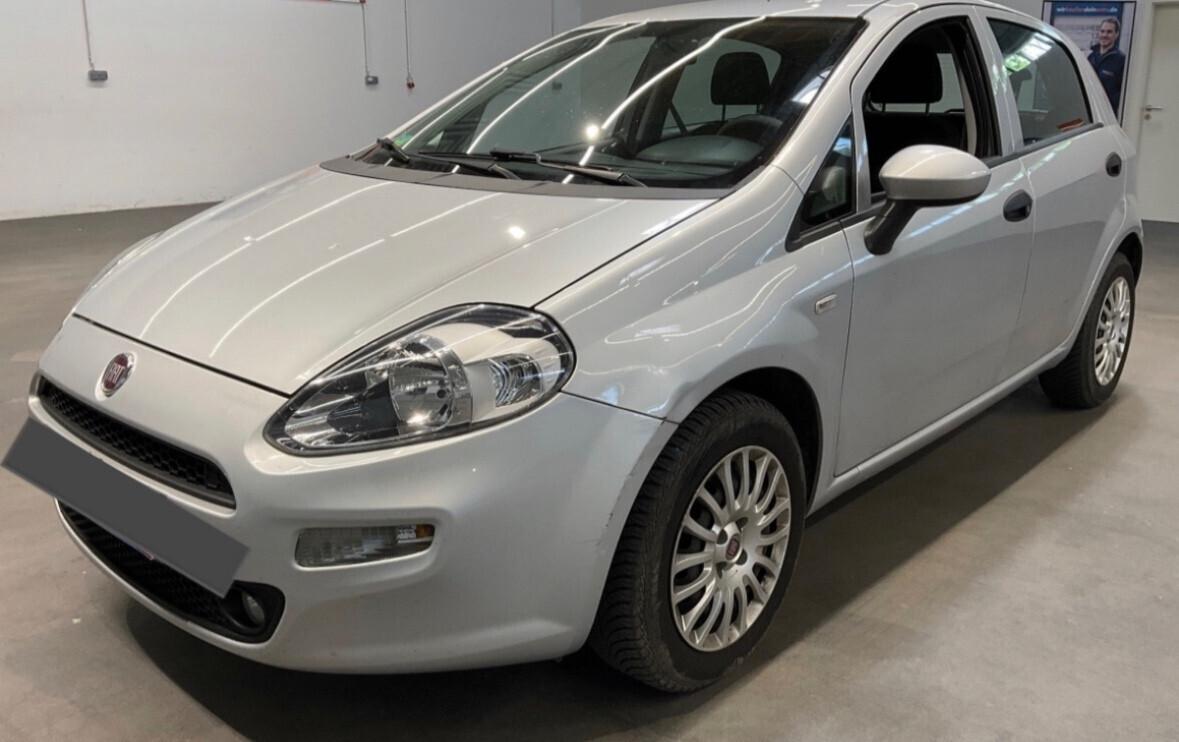 Fiat Punto Evo Punto Evo 1.2 5 porte Active