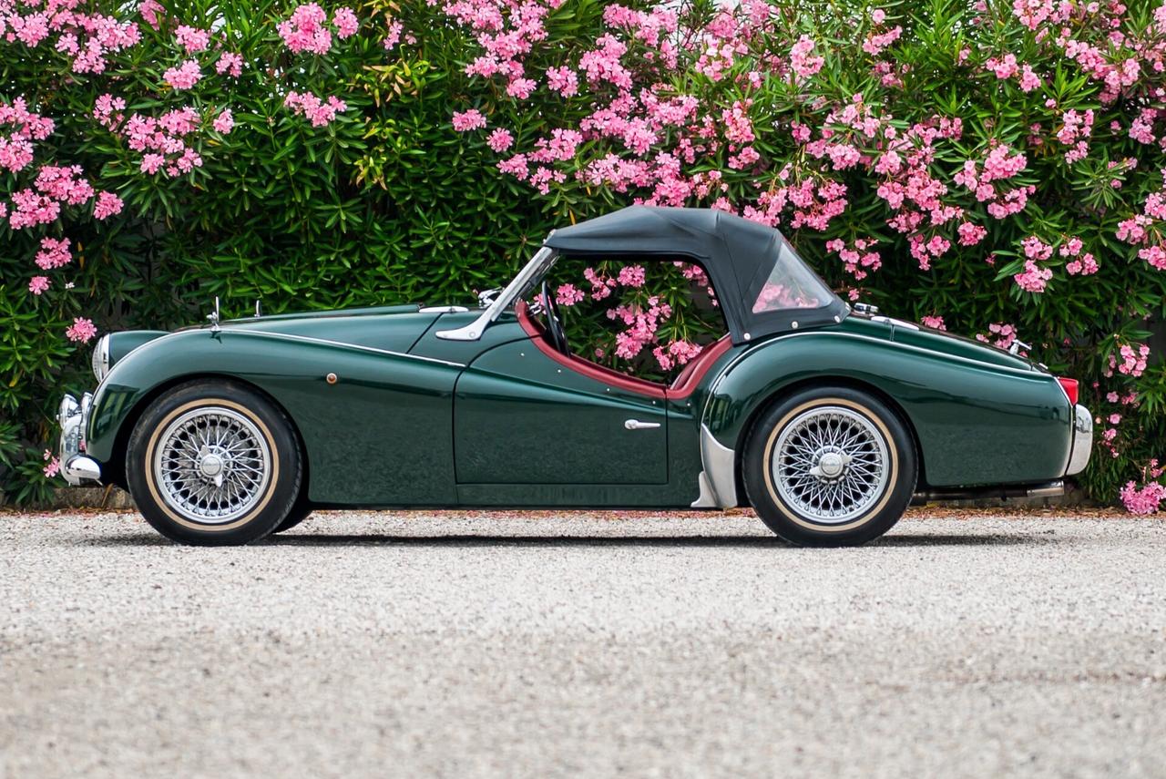 Triumph TR3 A - ASI Targa Oro