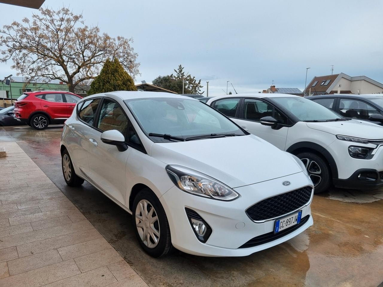 Ford Fiesta 1.5 EcoBlue 5 porte Business 86CV