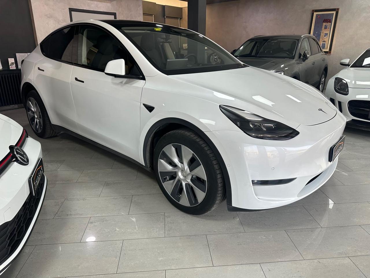 Tesla Model Y Dual Motor Long Range AWD #7384