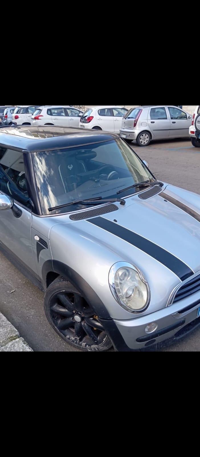 Mini 1.3 cat British Open