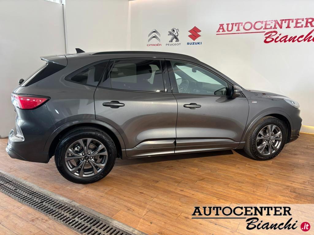 Ford Kuga 1.5 ecoblue ST-Line 2wd 120cv