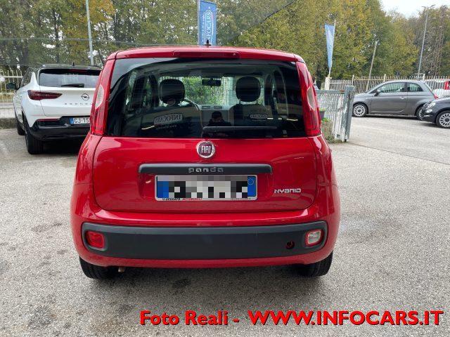 FIAT Panda 1.0 FireFly S&S Hybrid Easy NEOPATENTATI