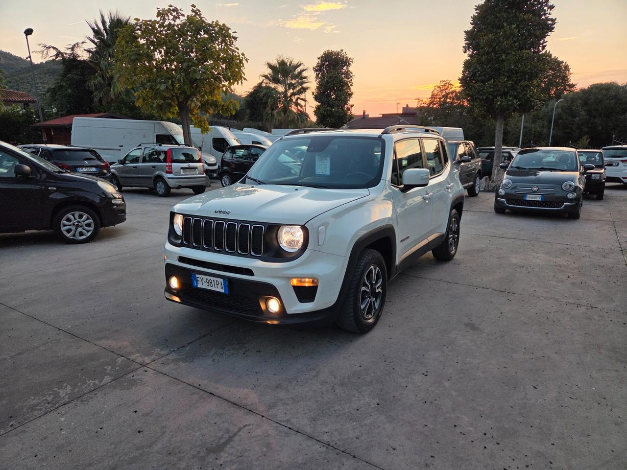 Jeep Renegade 1.6 Mjt 120 CV Longitude - 2019