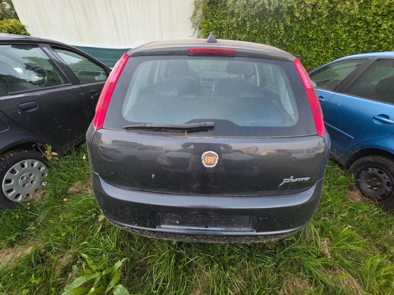 Fiat Punto Evo 1.3 Mjt 75 CV 5 porte Active