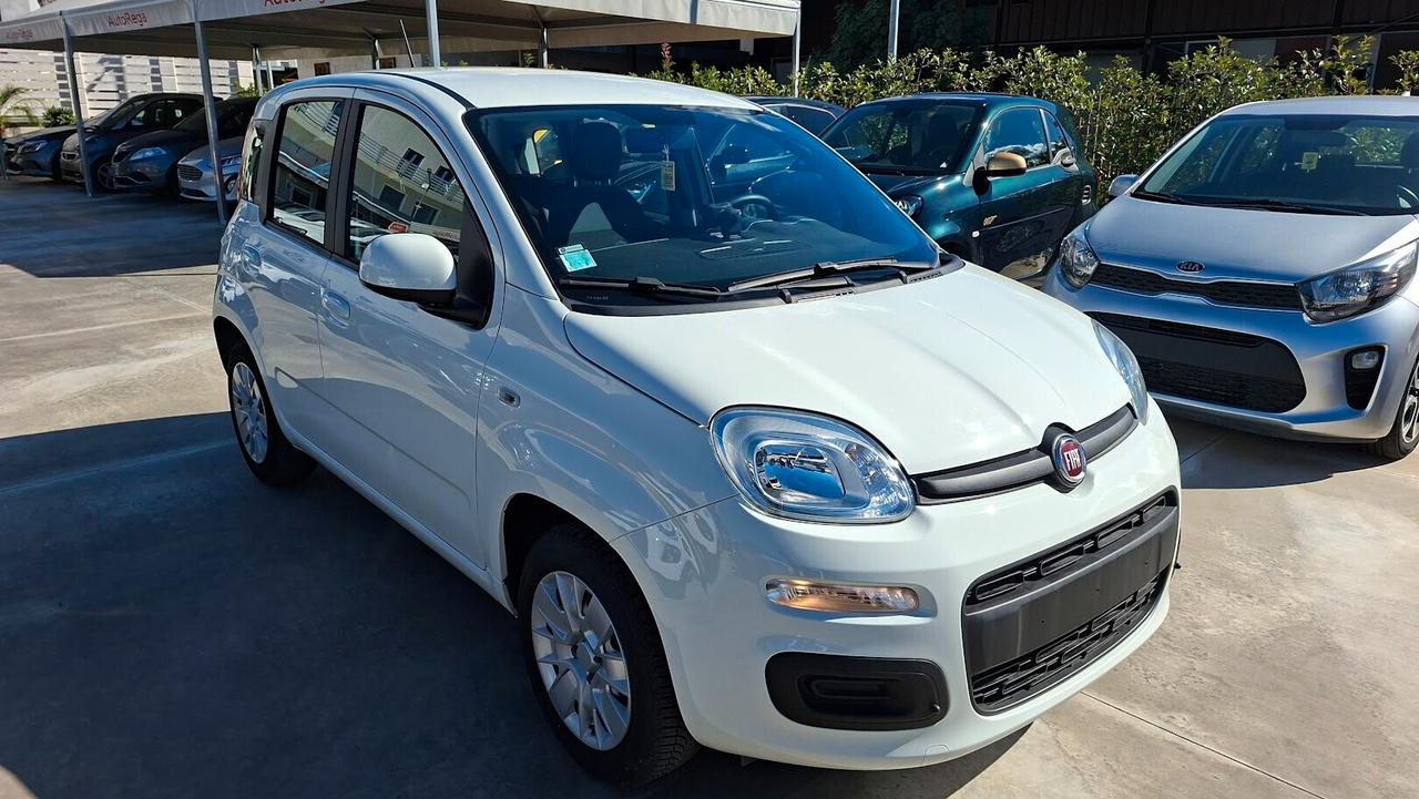 Fiat Panda 1.2 Lounge 2020