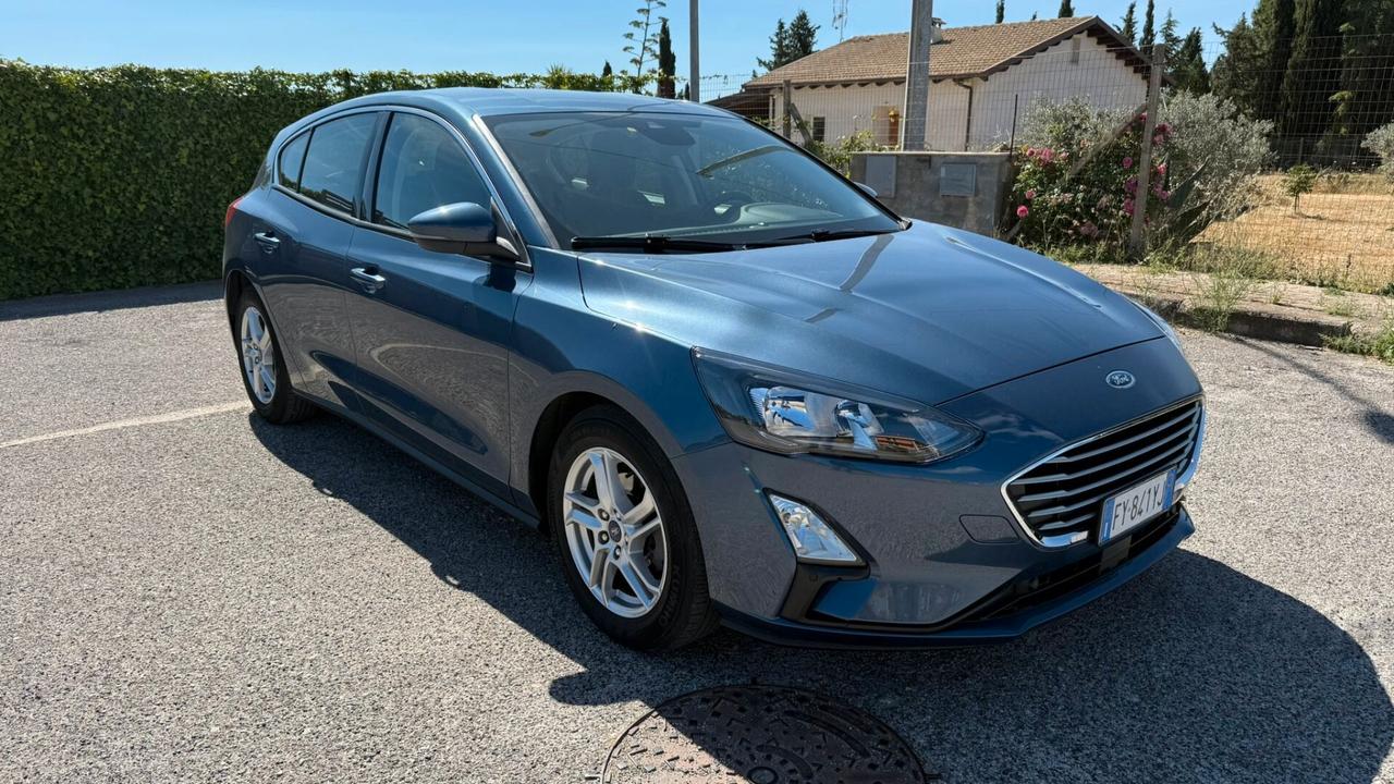 Ford Focus 1.5 EcoBlue 95 CV 5p. Business