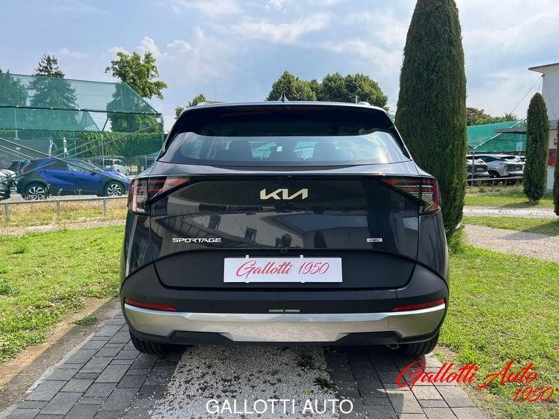 Kia Sportage 1.6 T-GDi HEV AT6 Business 239cv - PRMO GALLOTTI