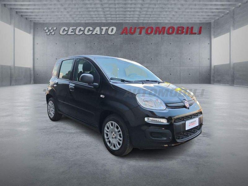 FIAT Panda Panda 1.0 firefly hybrid s&s 70cv 5p.ti