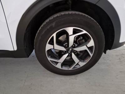Kia Sportage 1.6 Business Class ecogpl 2wd 126cv