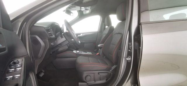 FORD Kuga 2.0 EcoBlue 120 CV aut. AWD ST-Line