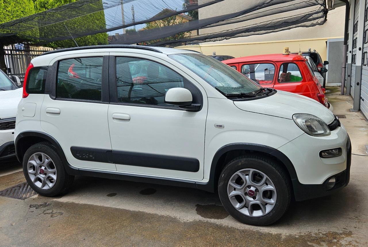 Fiat Panda 1.3 MJT S&S 4x4 Antartica