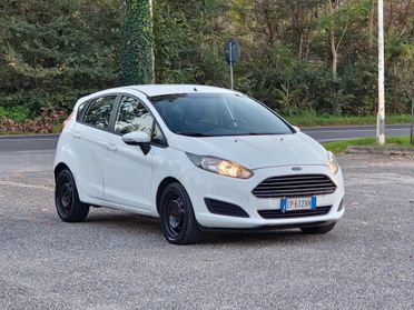 Ford Fiesta 1.5 TDCi 75CV 5 porte Titanium 2013-E5B NEO