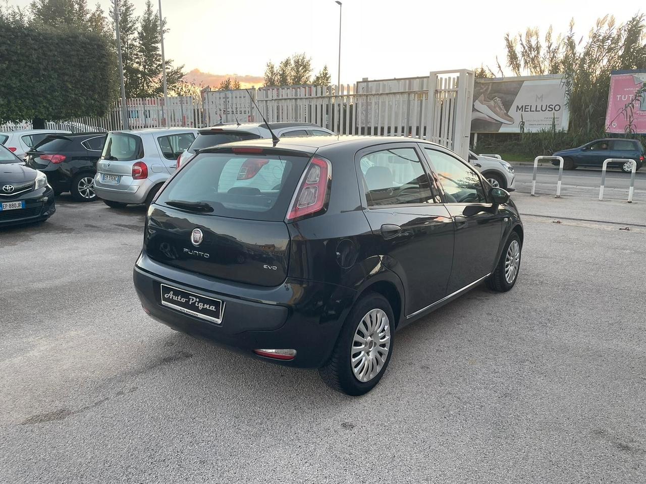 Fiat Punto Evo Punto Evo 1.3 Mjt 75 CV 5 porte Active