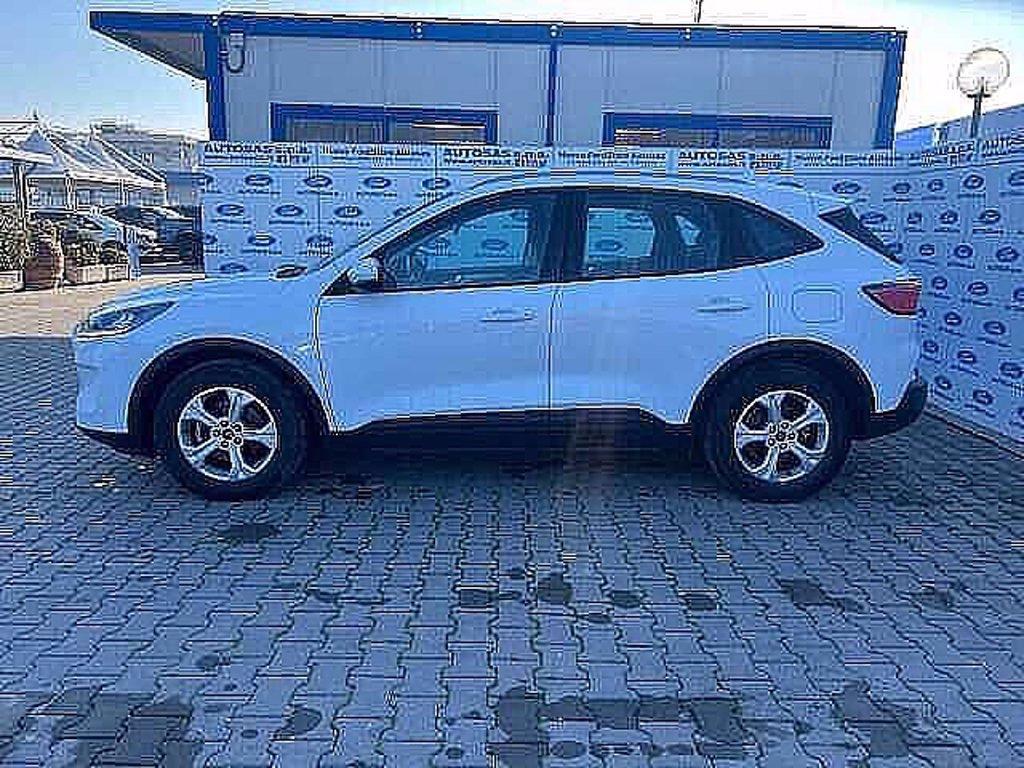 FORD Kuga 1.5 EcoBlue 120 CV 2WD Titanium Business del 2020