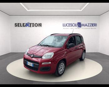 FIAT Panda 3ª serie - Panda 1.2 Easy