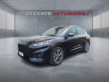 Ford Kuga Kuga 2.0 ecoblue ST-Line 2wd 120cv auto