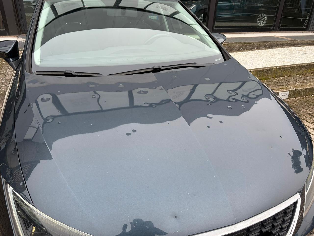 SEAT Leon ST 1.6 tdi 115cv my19 GRANDINATA