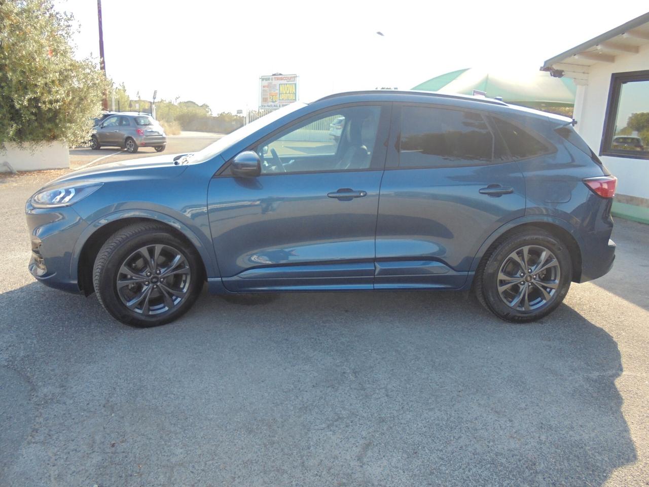Ford Kuga autocarro 5 posti 1.5 EcoBlue 120 CV 2WD ST-Line X