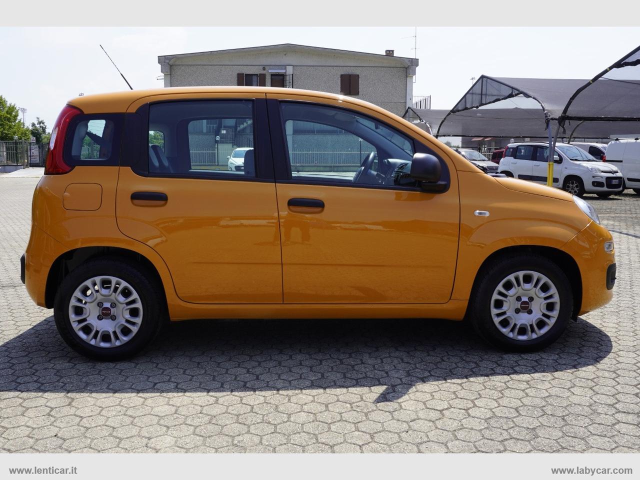 FIAT Panda 1.0 FireFly S&S Hybrid Adatta a Neopatentati