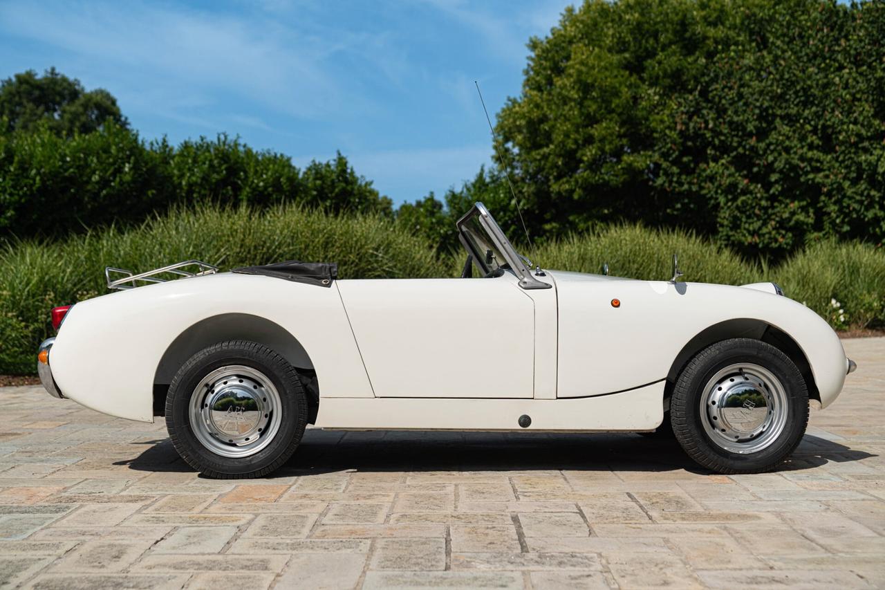 Austin Healey SPRITE - AUS00015
