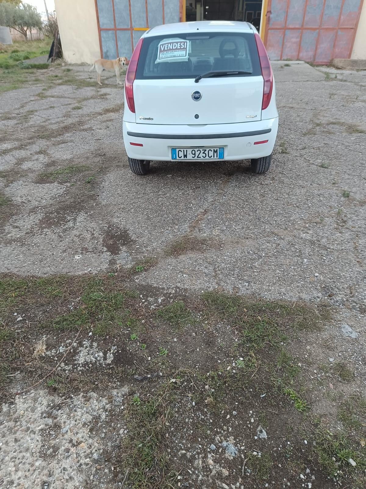 Fiat Punto 1.3 Multijet 16V 3 porte Dynamic