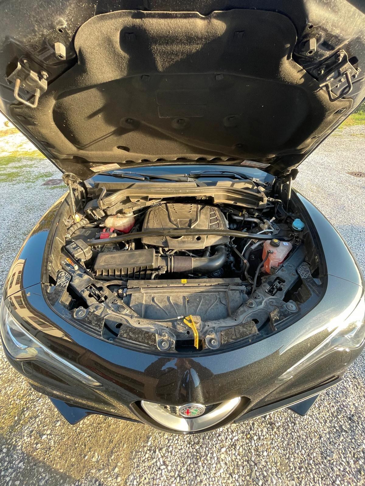 Alfa Romeo Stelvio 2.0 Turbo 200 CV AT8 Q4 Executive