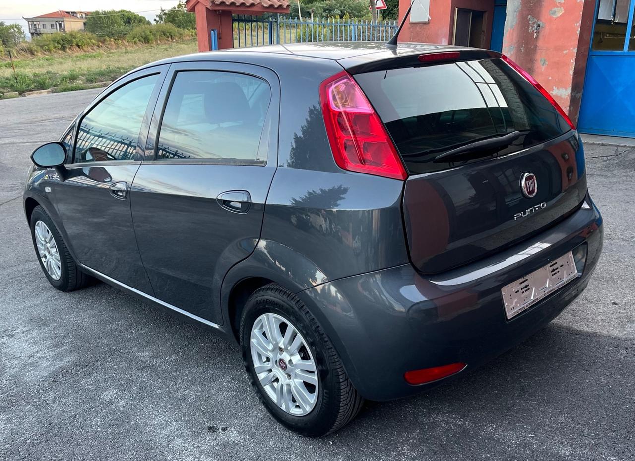 Fiat Punto 1.2 8V 5 porte Young-solo km 55900-