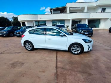 Ford Focus 1.5 EcoBlue 120 CV automatico 5p. Business Co-Pilot