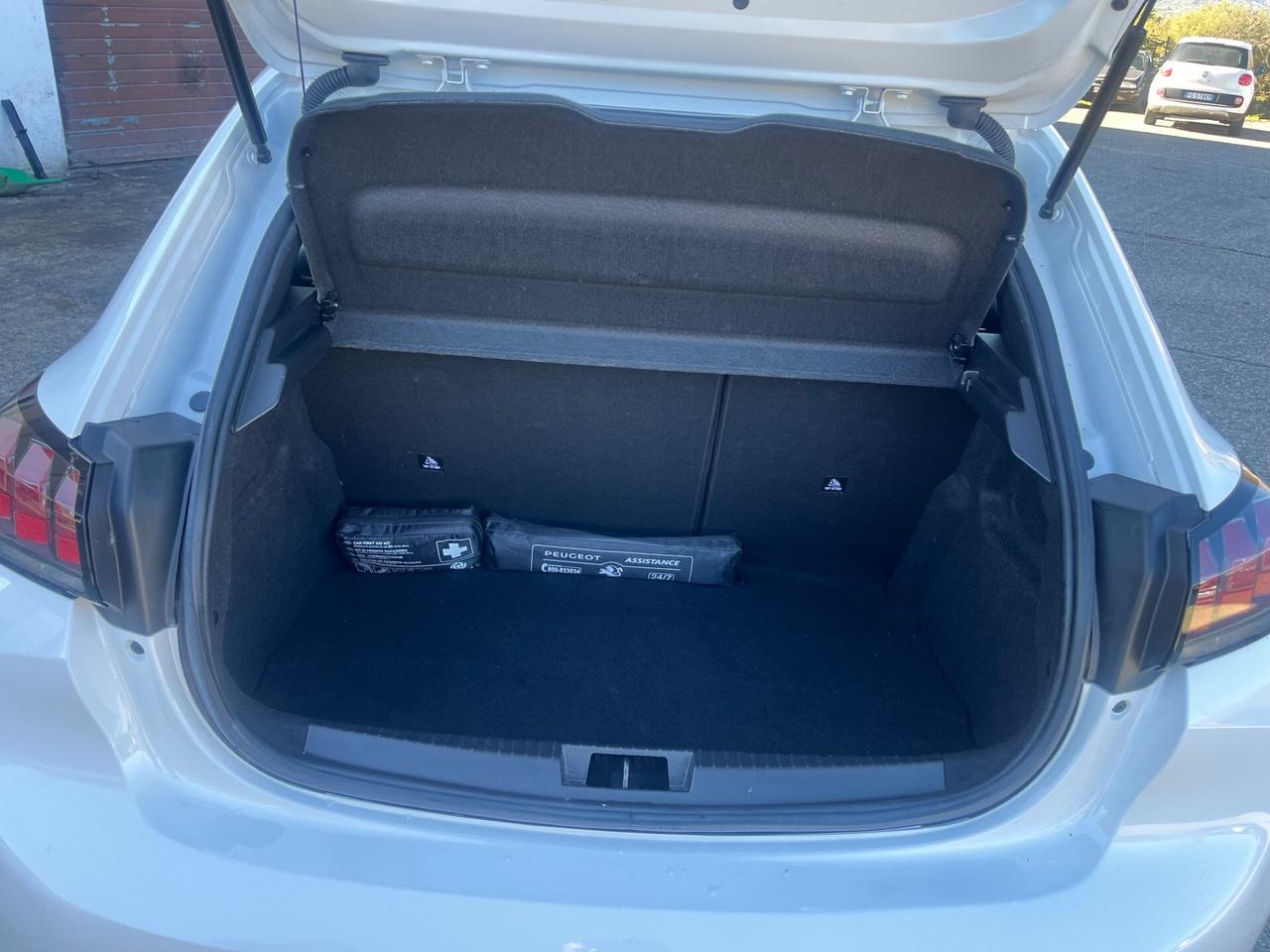 Peugeot 208 BlueHDi 100 Stop&Start 5 porte Active Pack