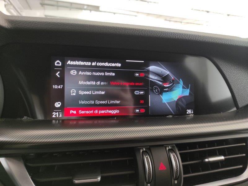 ALFA ROMEO Stelvio - Stelvio 2.0 Turbo 280 CV AT8 Q4 Veloce