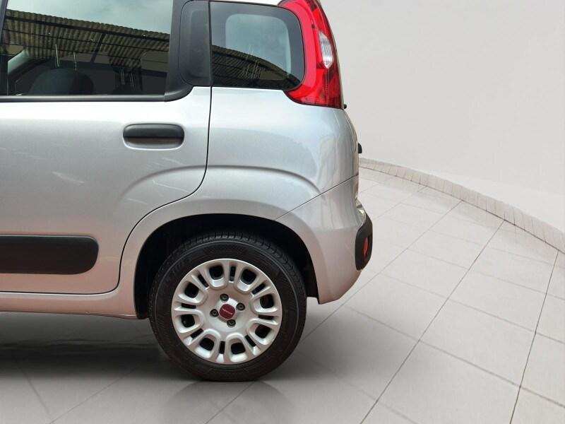 FIAT Panda 3ª serie Panda 1.2 Easy