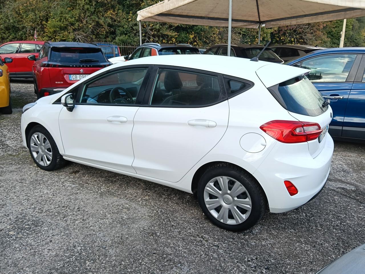 Ford Fiesta 1.5 TDCi 5 porte Plus