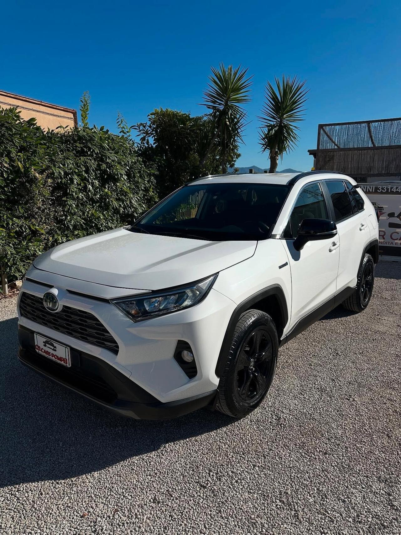 Toyota RAV 4 RAV4 2.5 HV (178CV) E-CVT 2WD Style