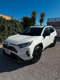 Toyota RAV 4 RAV4 2.5 HV (178CV) E-CVT 2WD Style