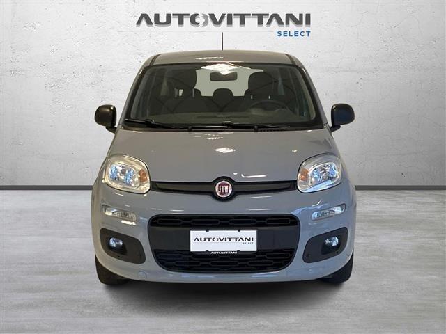 FIAT Panda 1.0 FireFly Hybrid 70cv City Life S&S