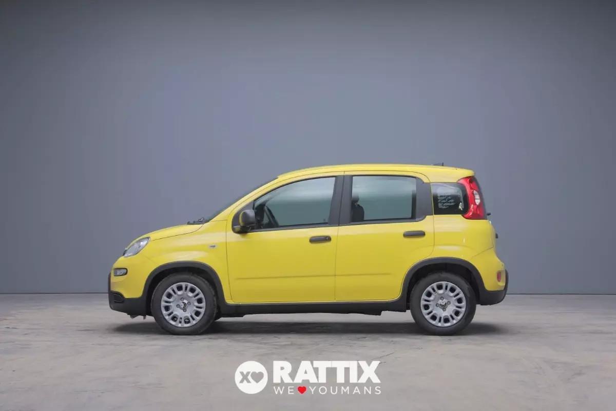 Fiat Panda 1.0 Firefly Hybrid 70CV + ADAS & sensori