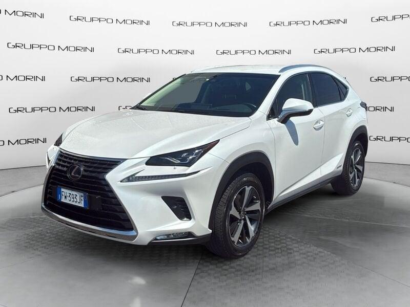 Lexus NX NX 300h 2.5 Luxury 4wd cvt