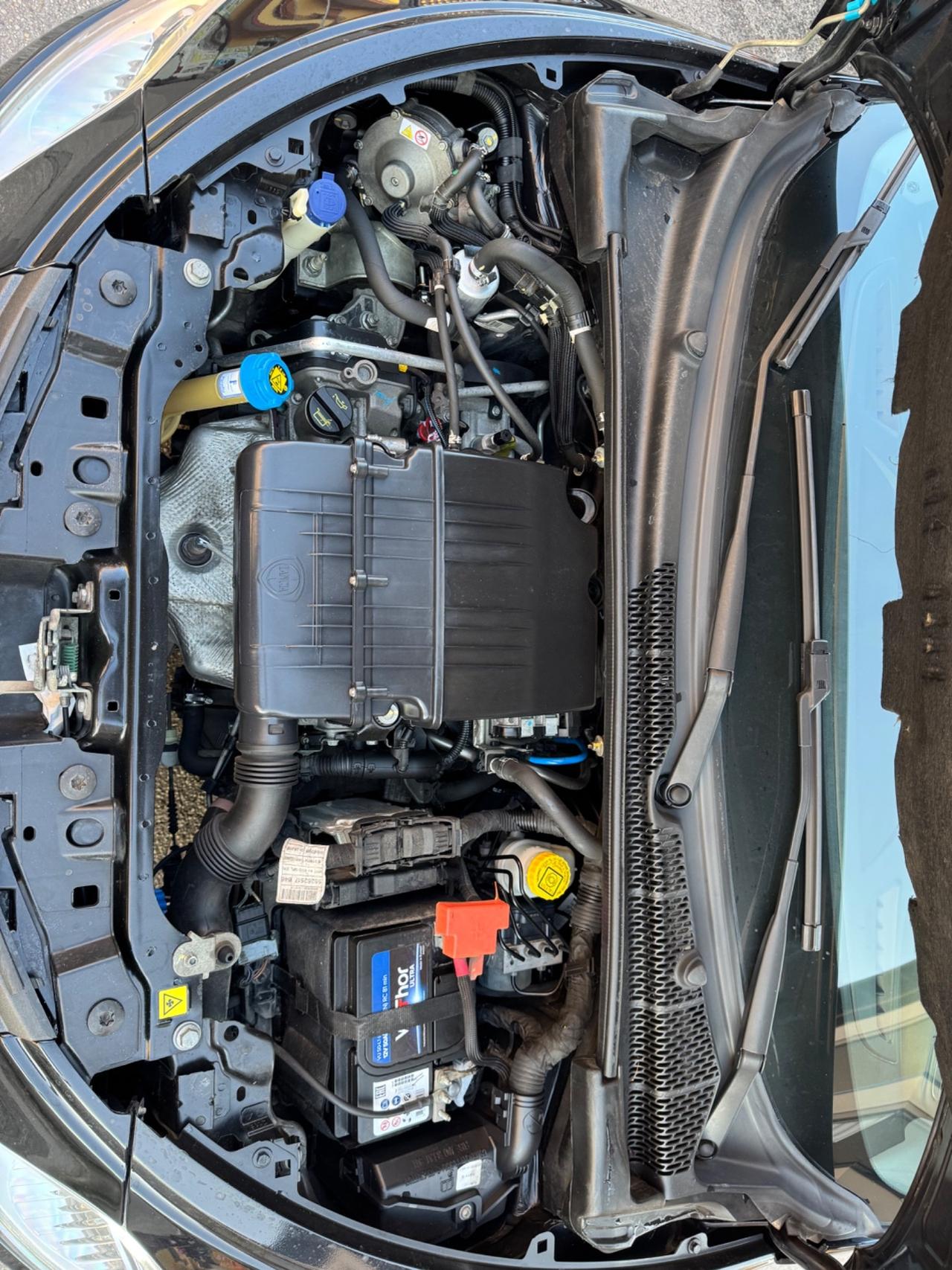 Lancia Ypsilon 1.2 69 CV 5 porte GPL Ecochic Elefantino