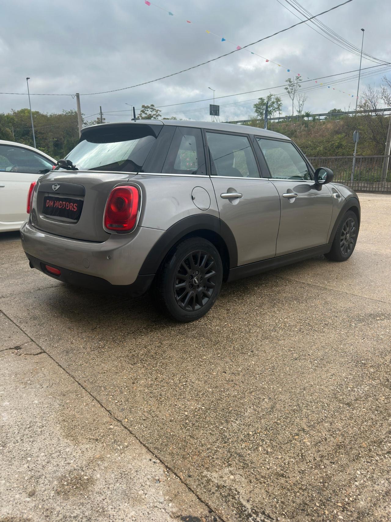 Mini 1.5 One D Hype