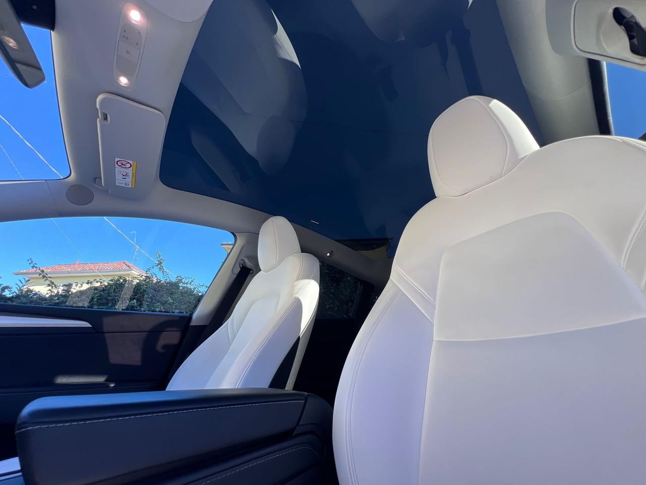 Tesla Model Y Performance #8327