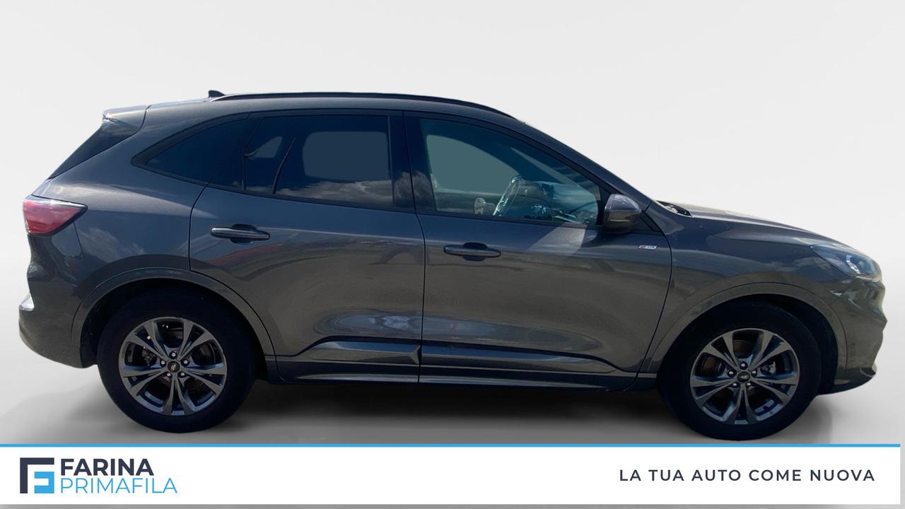FORD Kuga III 2020 - Kuga 2.0 ecoblue ST-Line X 2wd 120cv auto