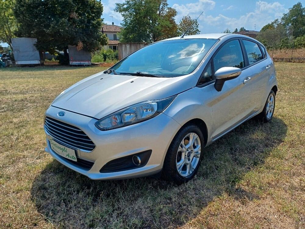 Ford Fiesta 1.4 5 porte Bz.- GPL Business