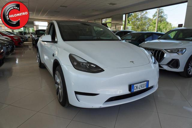 TESLA Model Y RWD
