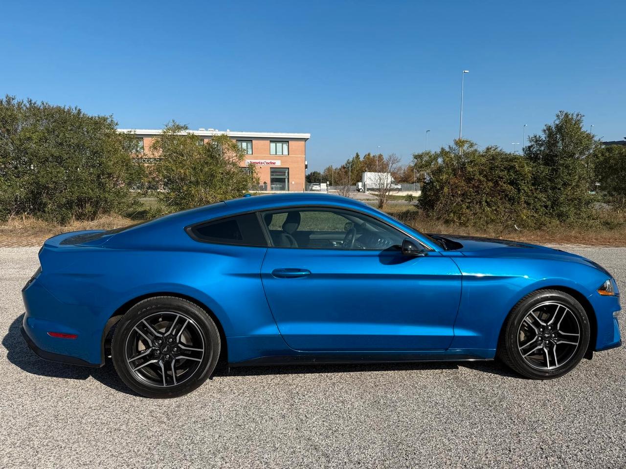 Ford Mustang Fastback 2.3 EcoBoost 55years 317cv