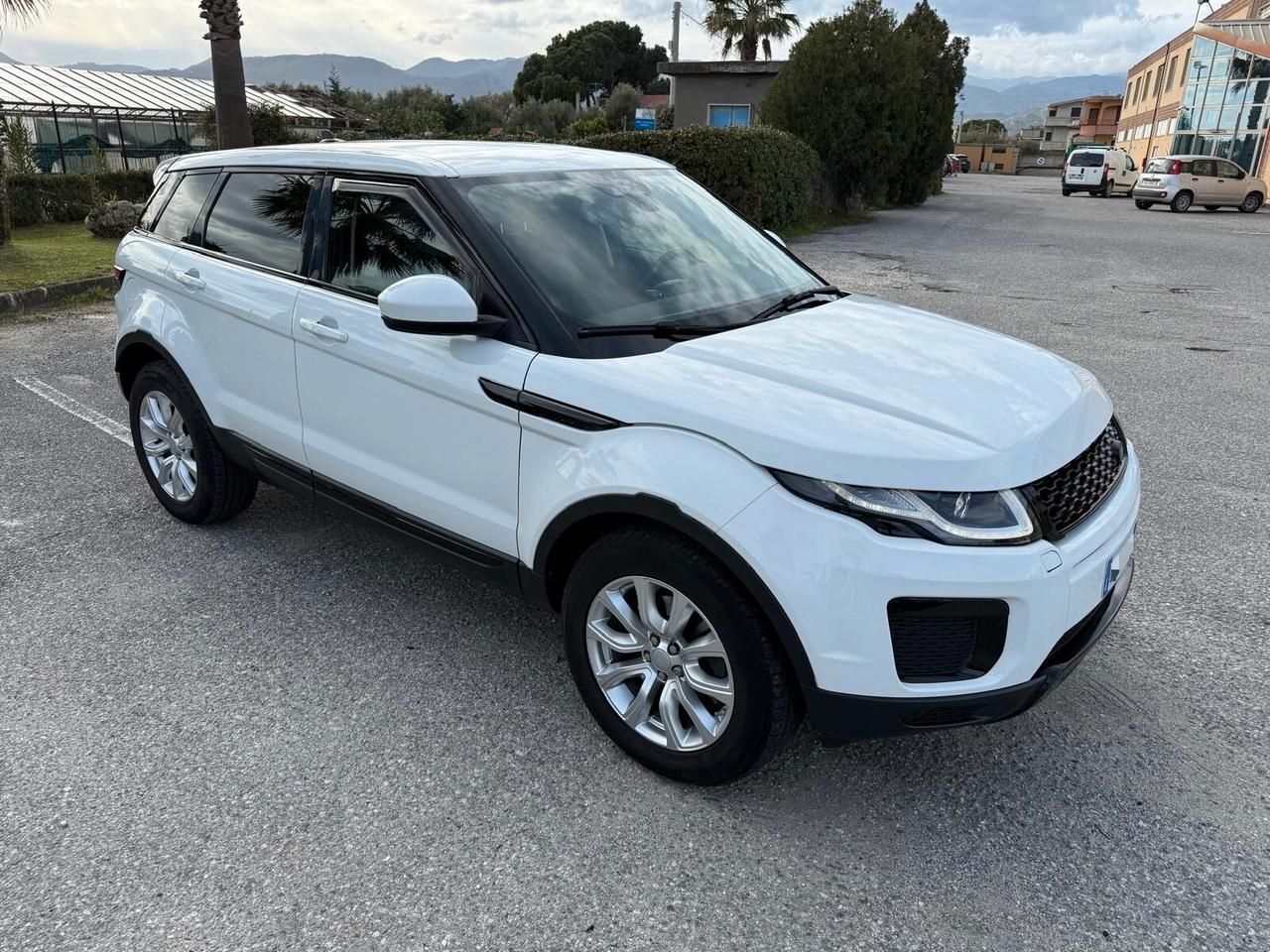 Land Rover Range Evoque 2.2 TD4 5p. Pure