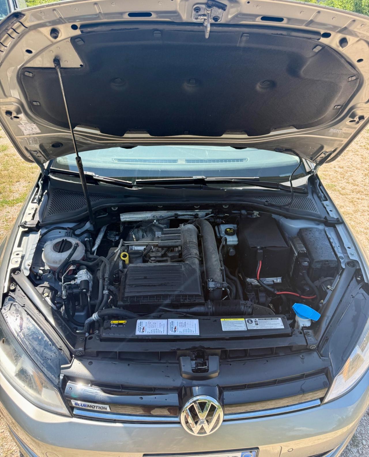 Golf 7 1.4 TGi euro6B neopatentati unipro Bluemotion